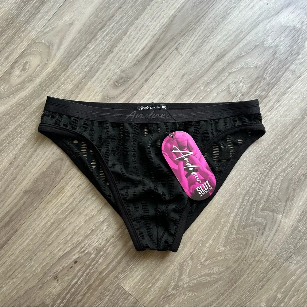 Capsule Mesh Lace Brief in Black (Medium)